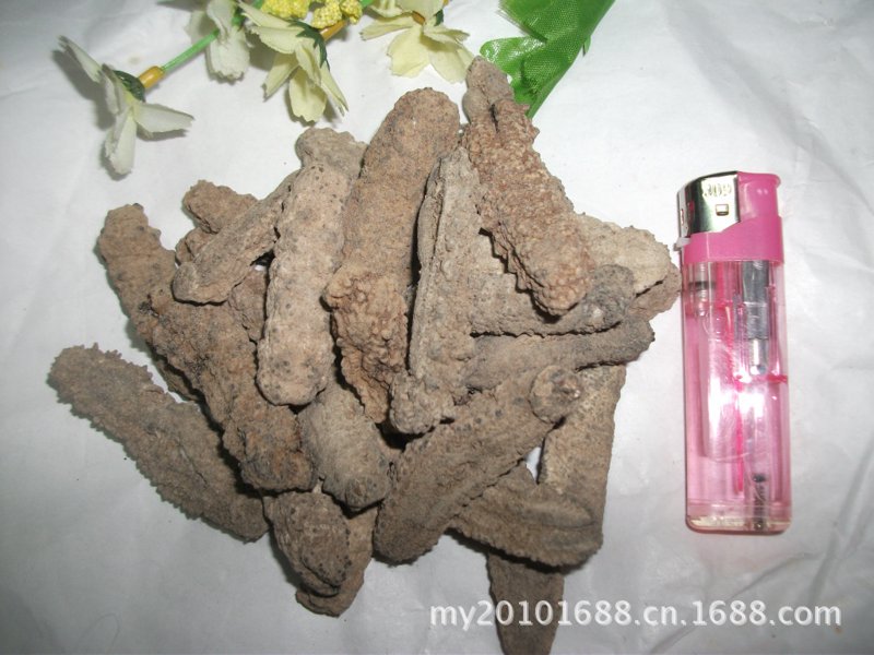 长沙忠烈祠：历史的回响与现代的铭记