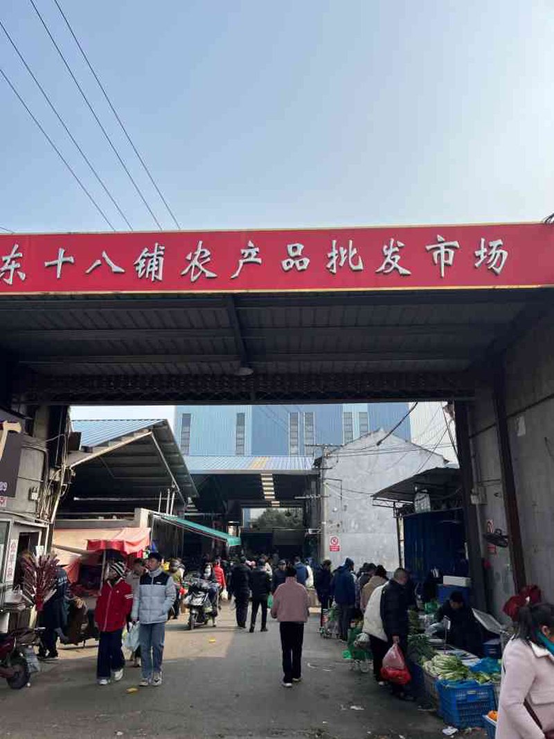 检验检疫服务在哪个行业?让我们一起来探究!