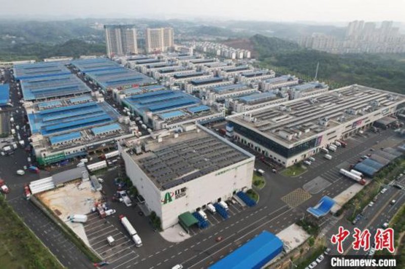 服务无止境，满意无终点——长沙忠峭农副产品有限公司如何做到用心到极致